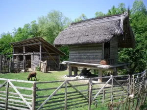 Prehistoric adventure village ALCMONA