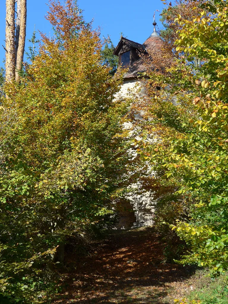 Turm der Ruine Urnburg von Südosten