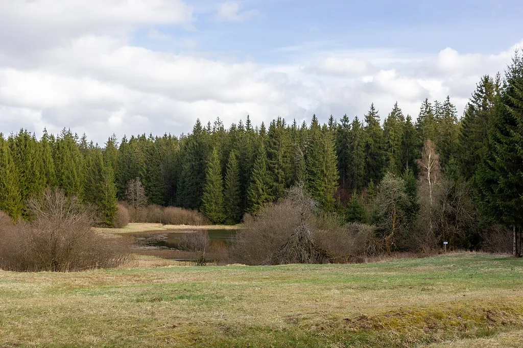 Fränkische Muschwitz