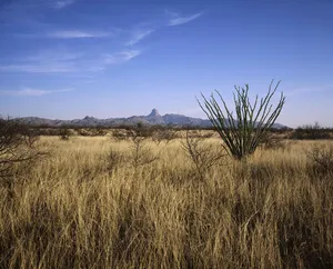 Buenos Aires National Wildlife Refuge