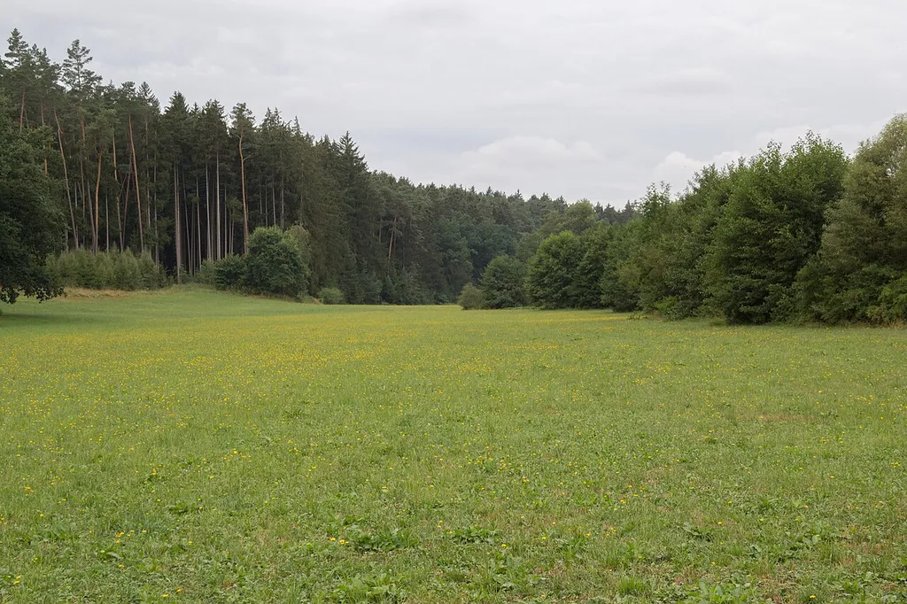 LSG innerhalb des Naturparks Frankenhöhe (ehemals Schutzzone)
