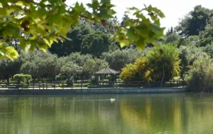 Antonis Tritsis Metropolitan Park