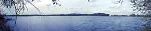 Scharsee
