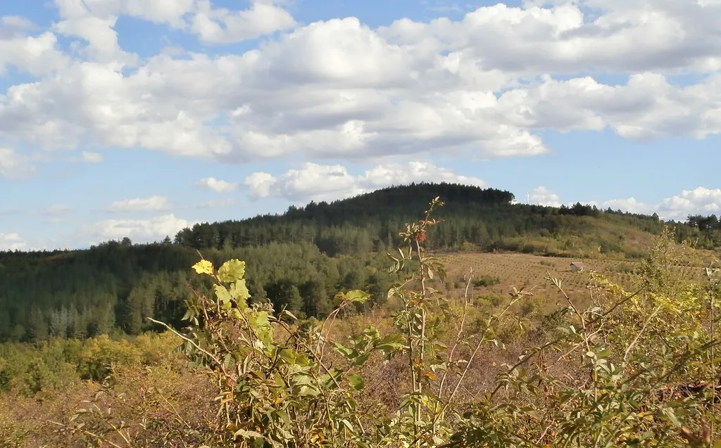 Spasovica hill