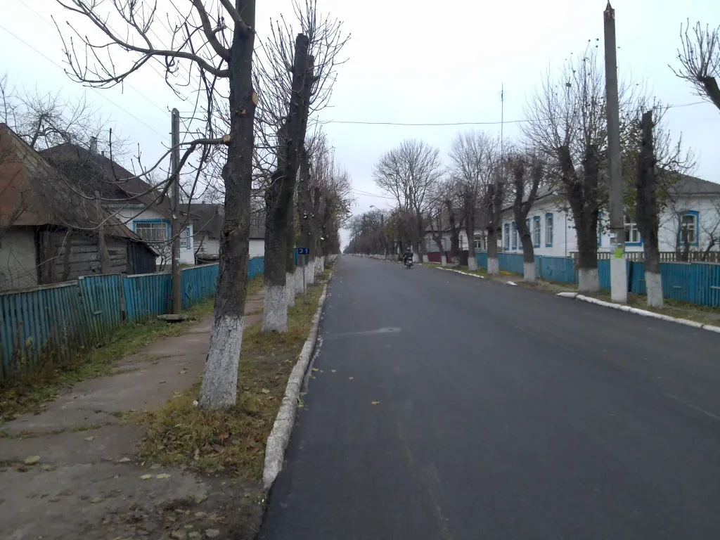 смт Народичі