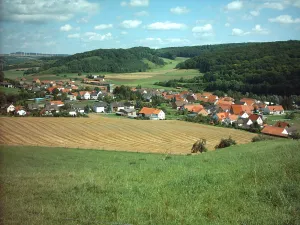 Liebenau