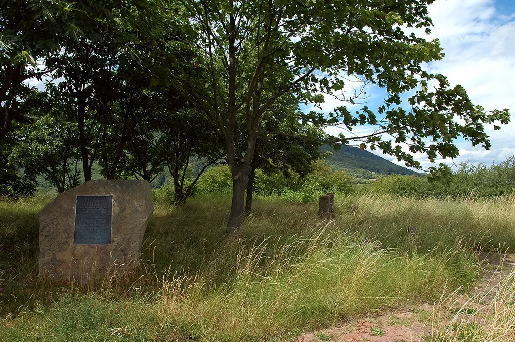 Memorial stone of castle Geisburg on the top of the hill, where it once stood.