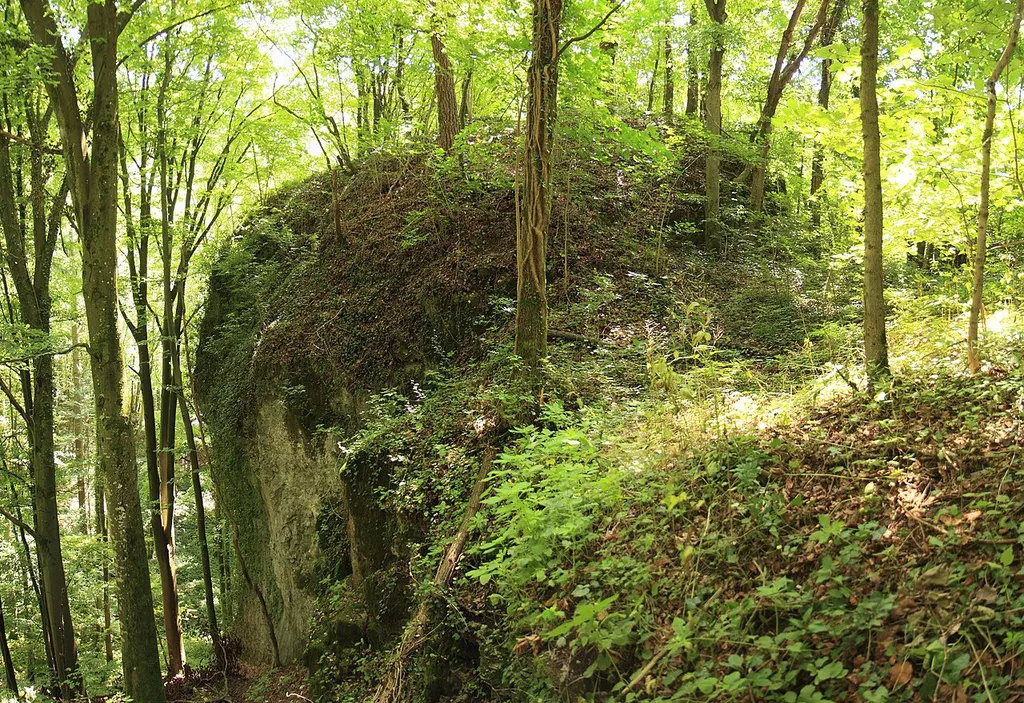 Burgstall Thüngfelderstein - Ansicht des Felsturmes