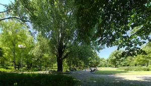 Railway Park (Novi Sad)