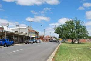 Avoca