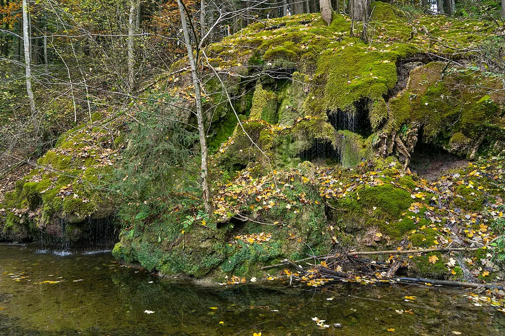 This media shows the natural monument in Upper Austria with the ID nd641.