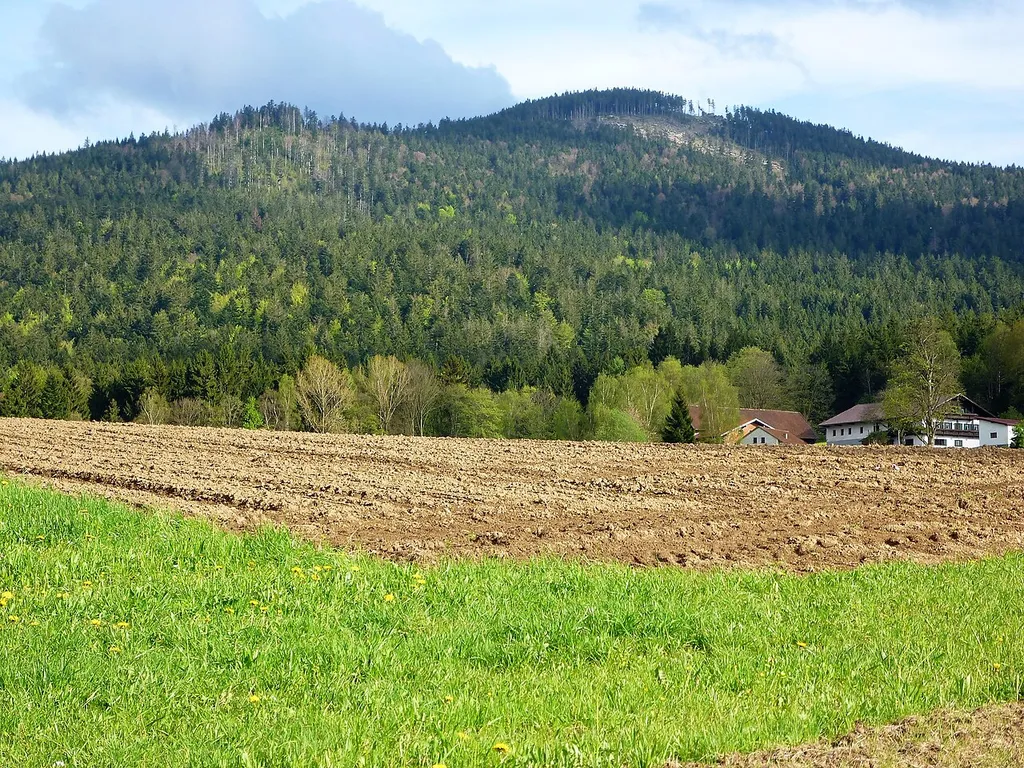 Oberer Bayerischer Wald