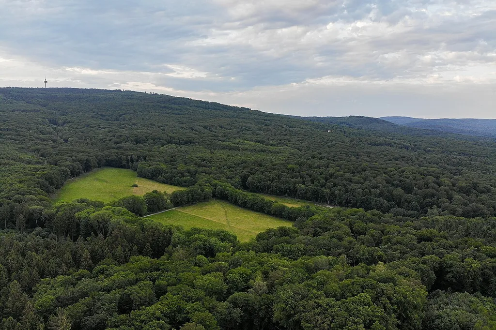 Fauna-Flora-Habitat-Gebiet Buchenwälder nördlich von Wiesbaden (FFH-Nr. 5815-306; 41,243 km²), die mittigen Wiesen gehören zum FFH-Gebiet Weilburger Tal-Klingengrund (FFH-Nr. 5914-302; 0,397 km²