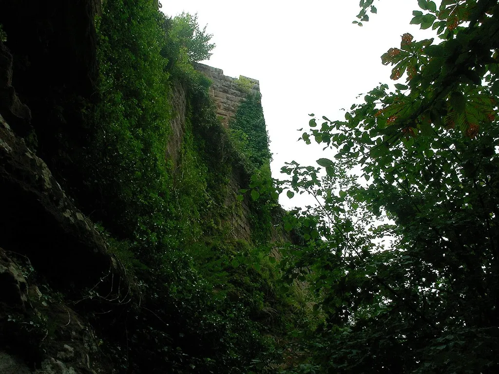 Ruines du Grand-Arnsbourg à Baerenthal (Bas-Rhin, France).