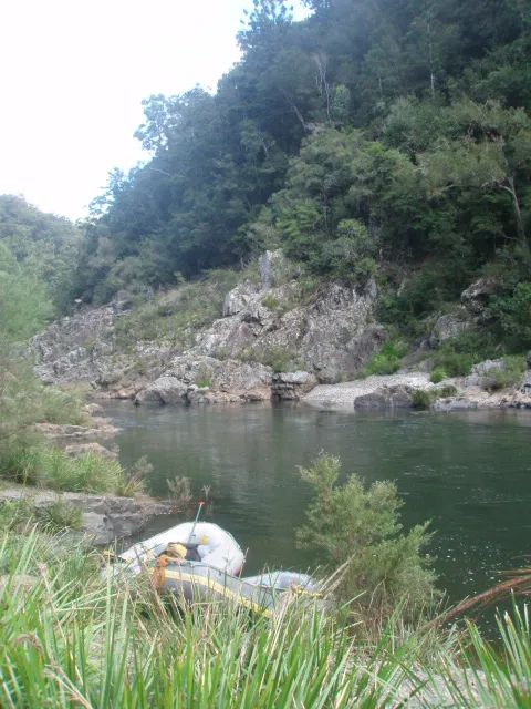 Nymboida National Park