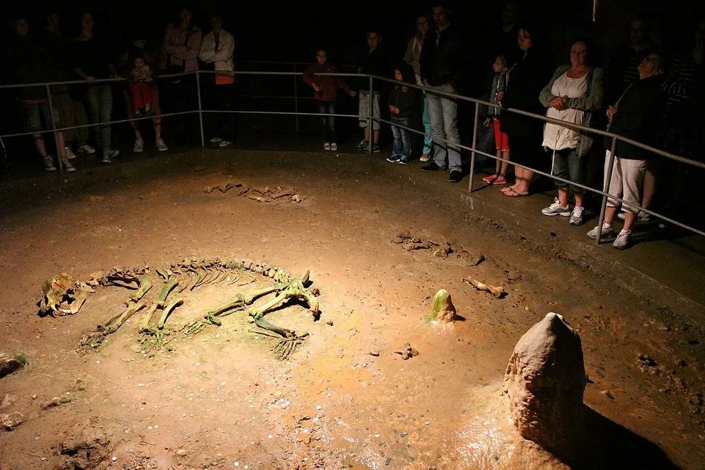 Skeleton of a cave bear (Ursus spelaeus) in the Bear Cave (Chișcău, Romania).