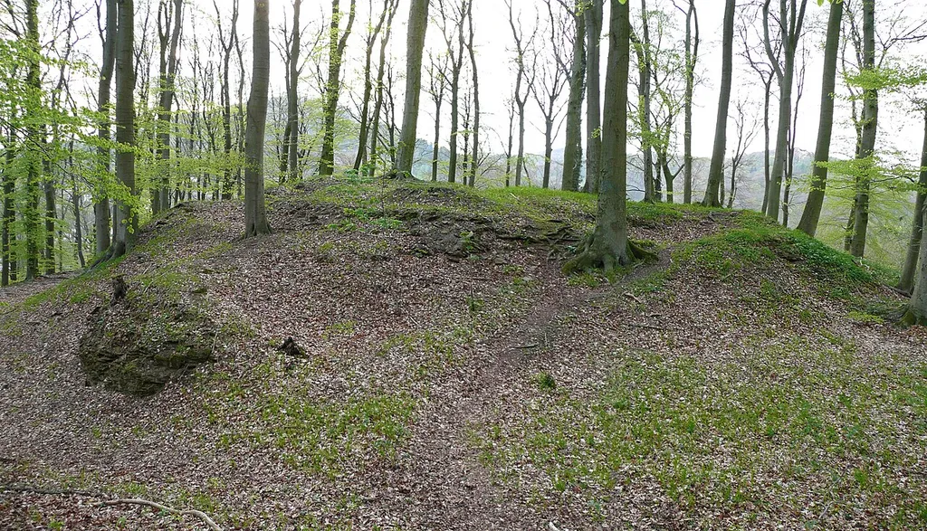 Burgplateau der Burg Roden