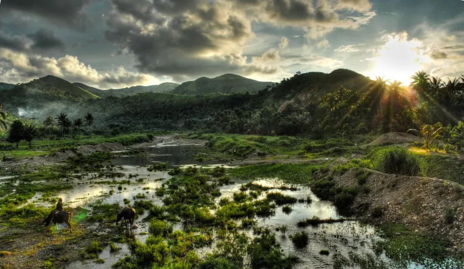 Northwest Panay Peninsula Natural Park