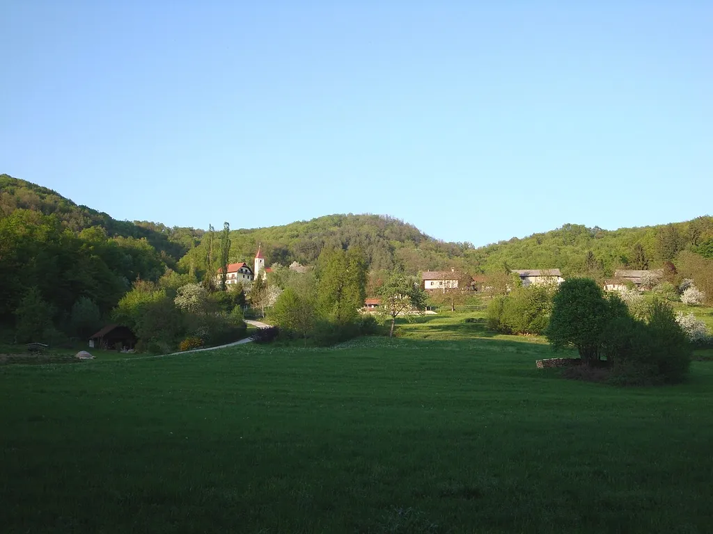 Močvirje pri Bučki na Dolenjskem.