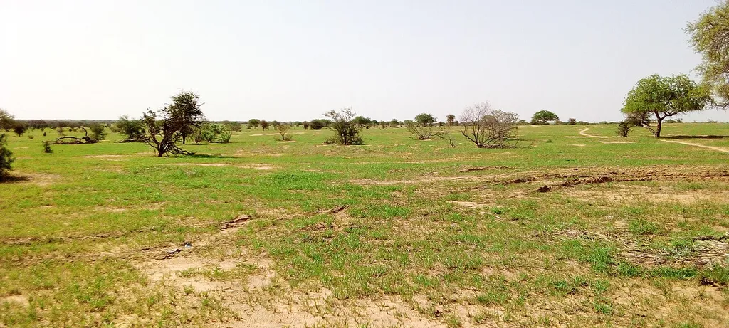 Gadabedji Reserve