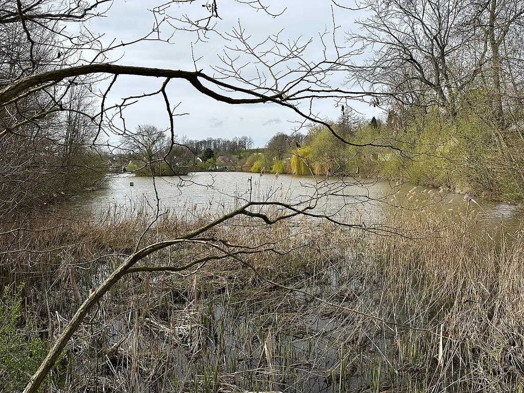 Hofteich Frankenhausen