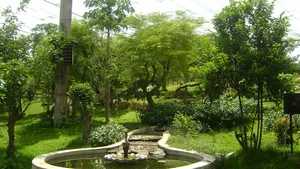 Arignar Anna Zoological Park