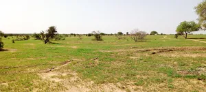 Gadabedji Reserve