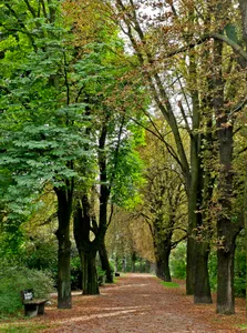 Roßkastanienallee, Ludwig‑Leichhardt‑Allee