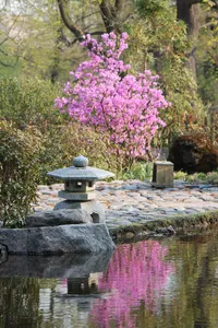 Botanical Garden of V.L. Komarov Botanical Institute (Saint Petersburg) - Japanese garden