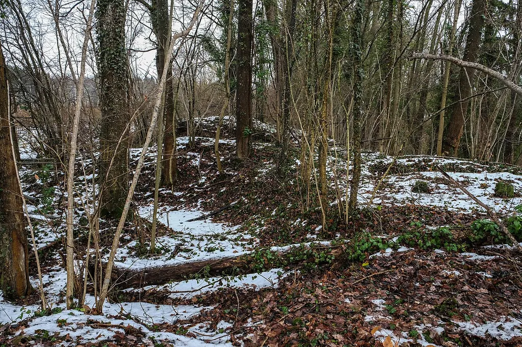 Burgrest Baumgarten