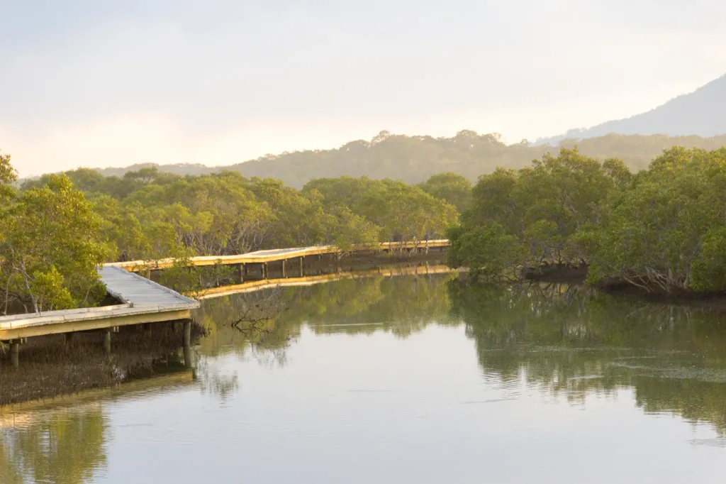 Urunga