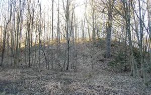 Burgstall im Viehtrieb
