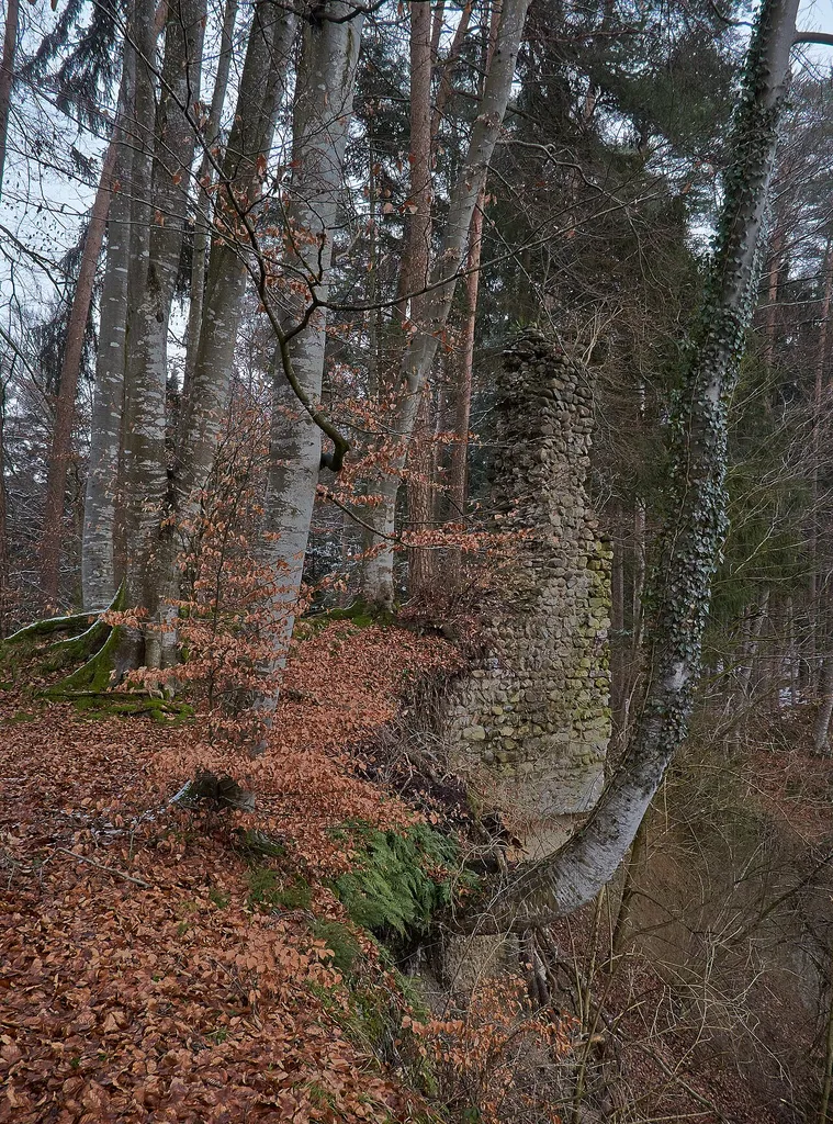Remains of the castle Neusummerau, Neukirch-Summerau, county Bodenseekreis, Germany