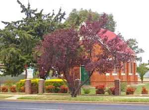 St Patrick's Roman Catholic church