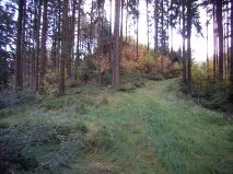 Burgstall Säbnich