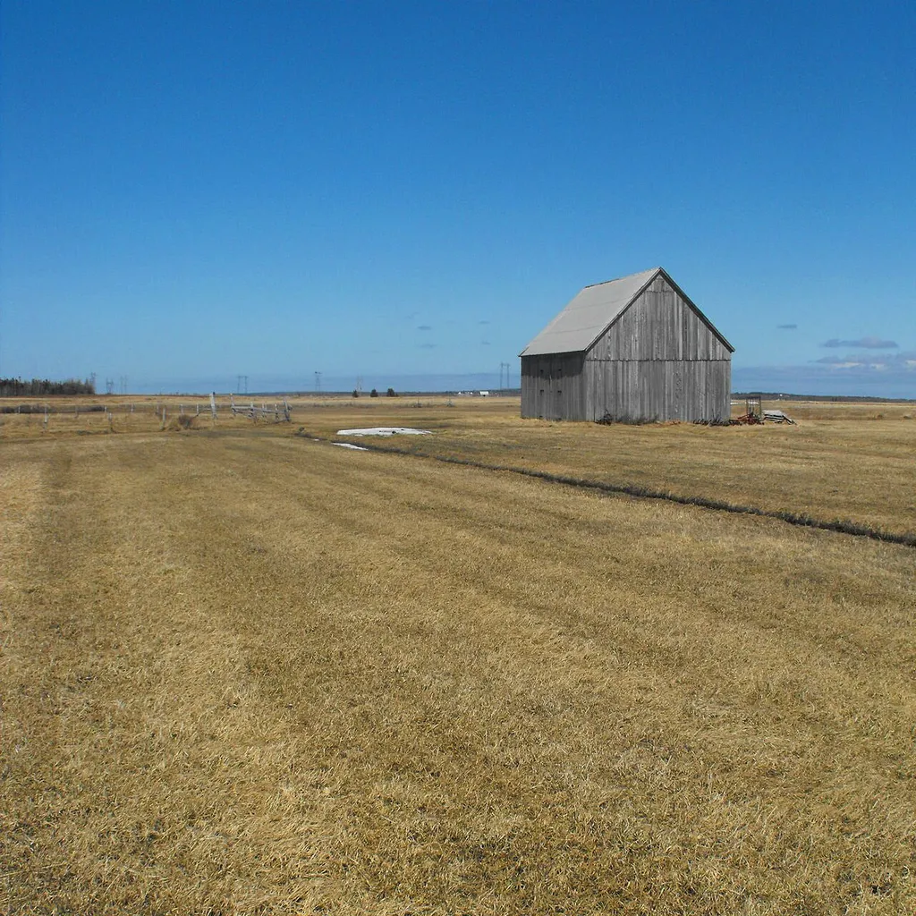 Tantramar Marshes