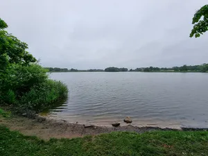 Dippelsdorfer Teich