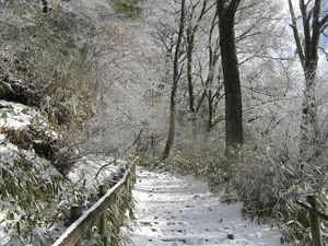 Kongō-Ikoma-Kisen Quasi-National Park