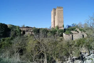 Castle of Ruesta