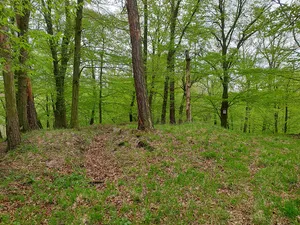 Starý Plumlov