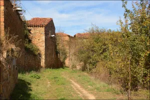 Taniñe