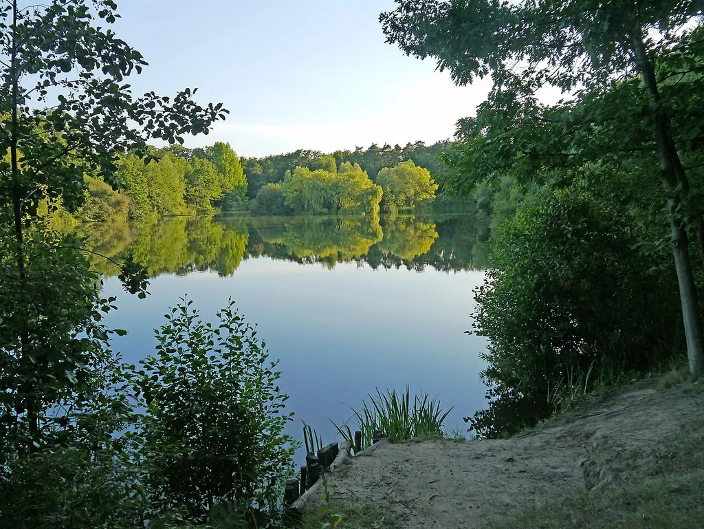 Fechenheimer Weiher. Blick 2012 vom Nordufer, in F-Fechenheim.