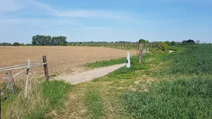 Belgium-Netherlands boundary stone no. 36