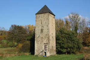 Burg Mühlenbach (Koblenz)