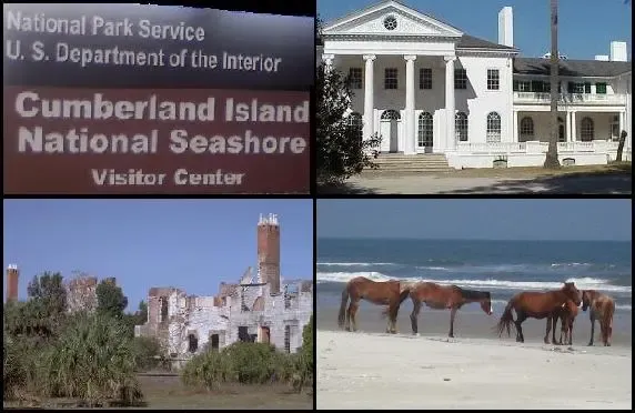 Cumberland Island