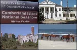 Cumberland Island