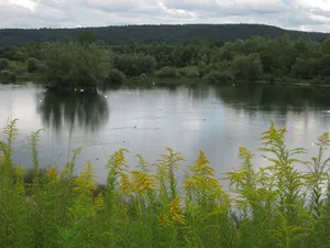 Burglehen