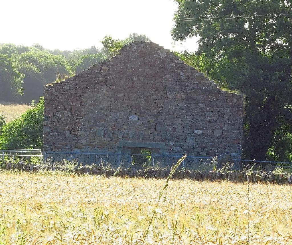 Clone Church - County Wexford, Ireland.