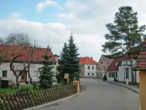 Mölbis