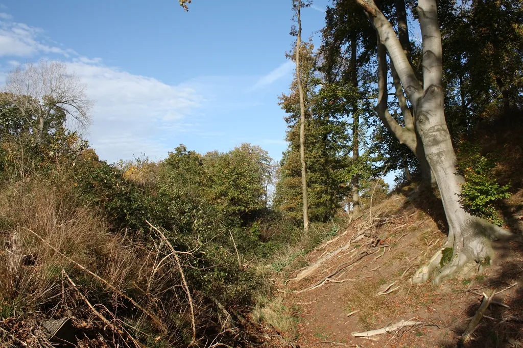 Graben der Burg Hünenknüfer im Landschaftsschutzgebiet „Fröndenberg-Ost“, Fröndenberg/Ruhr